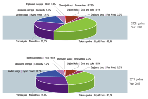 udio vrste energije u potrosnji