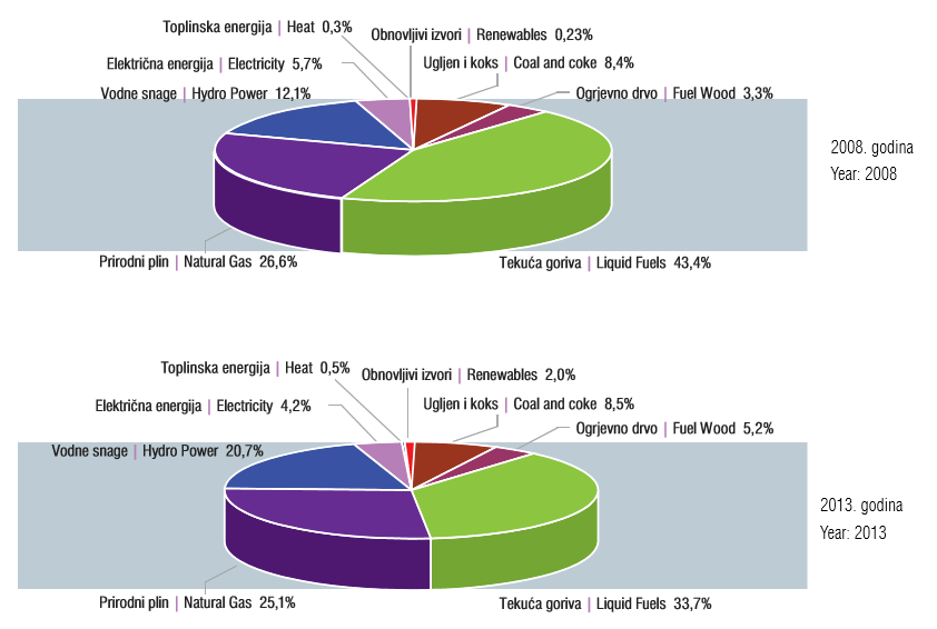 udio vrste energije u potrosnji
